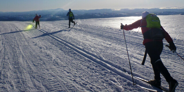 Dette må du vite om felleski